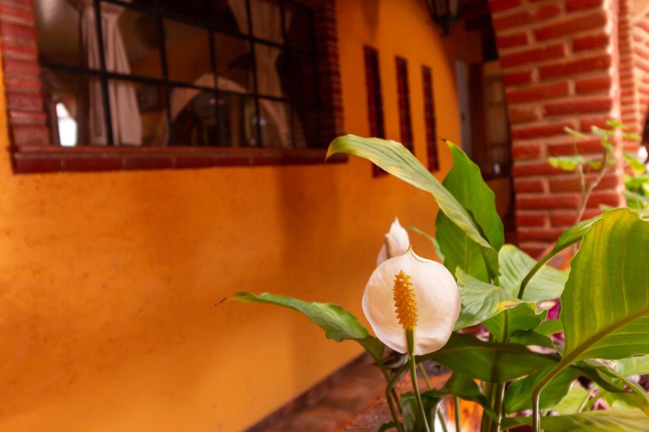 Mex Suites Casa Azul B&B 멕시코 시 외부 사진