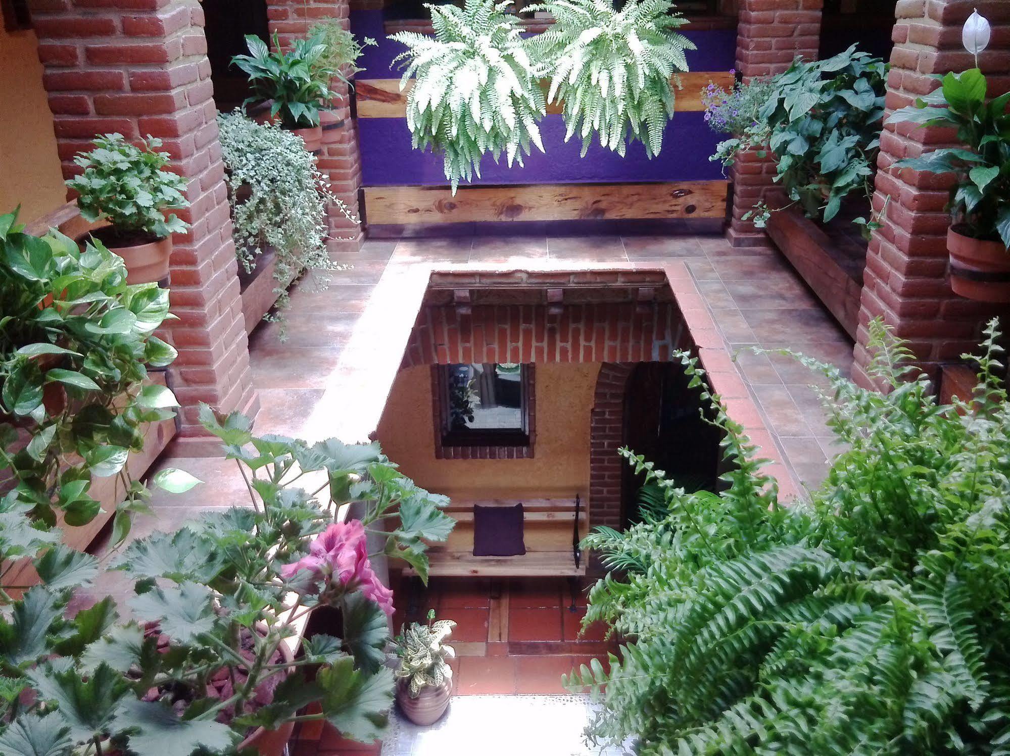 Mex Suites Casa Azul B&B 멕시코 시 외부 사진